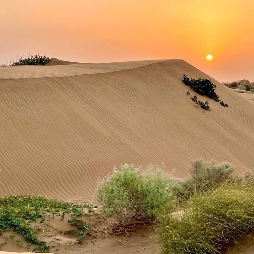 Luxury Desert Camp In Jaisalmer